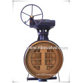 Cast Iron Bronze Butterfly Valve (D347Y)